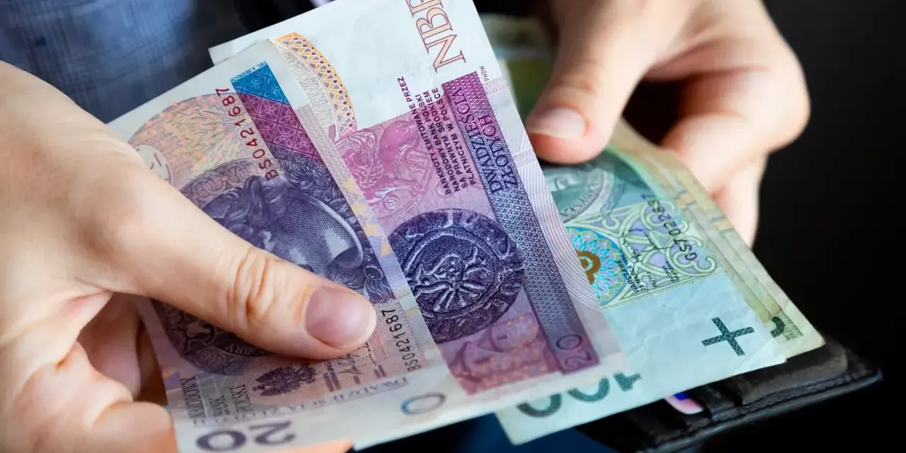 Dłonie trzymają polskie banknoty 20 zł i 100 zł. Wkrótce może pojawić się ryczałt energetyczny.