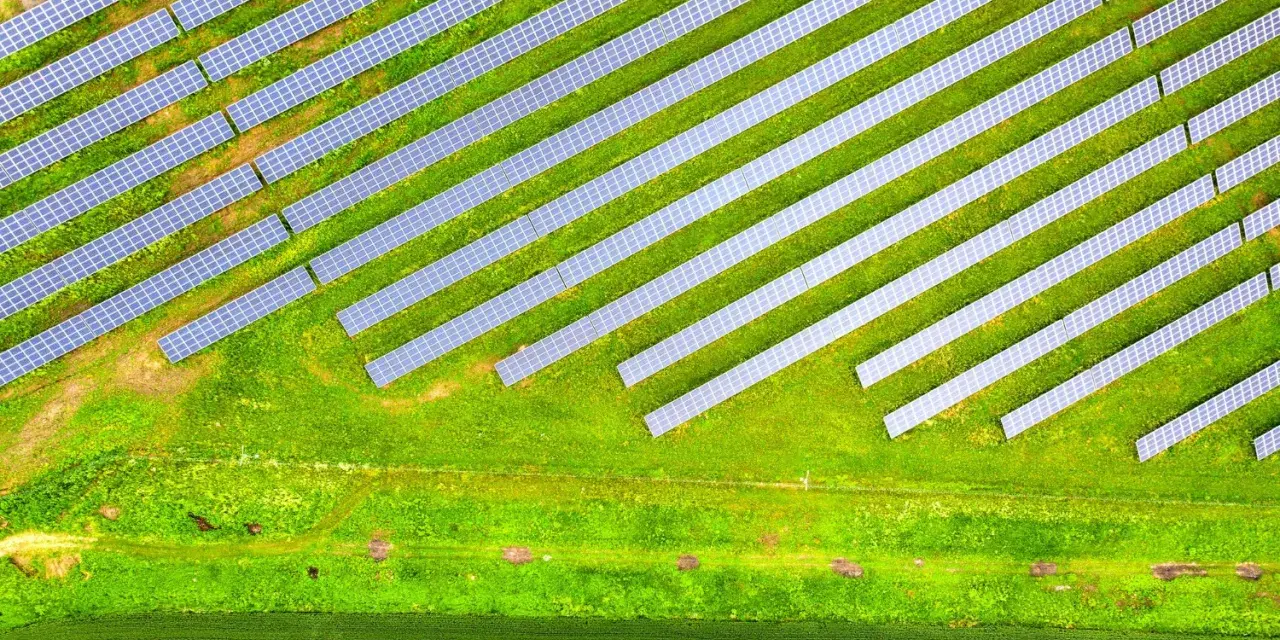 Rozległa farma fotowoltaiczna na zielonym polu, panele ułożone w rzędy pod kątem, łapiące słońce.