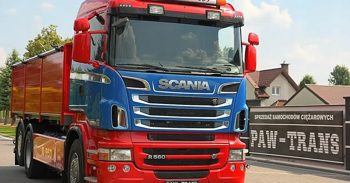 Czerwono-niebieska wywrotka do zboża Scania R560 z napisem "Królowa Szos" gotowa do pracy.