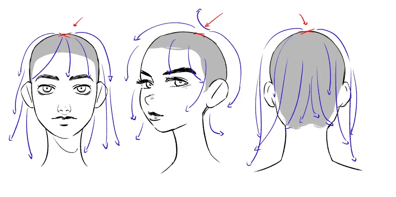 Croquis de cheveux montrant la direction des mèches sur trois vues d'une tête. Les flèches bleues indiquent le flux, les flèches rouges le point de départ.