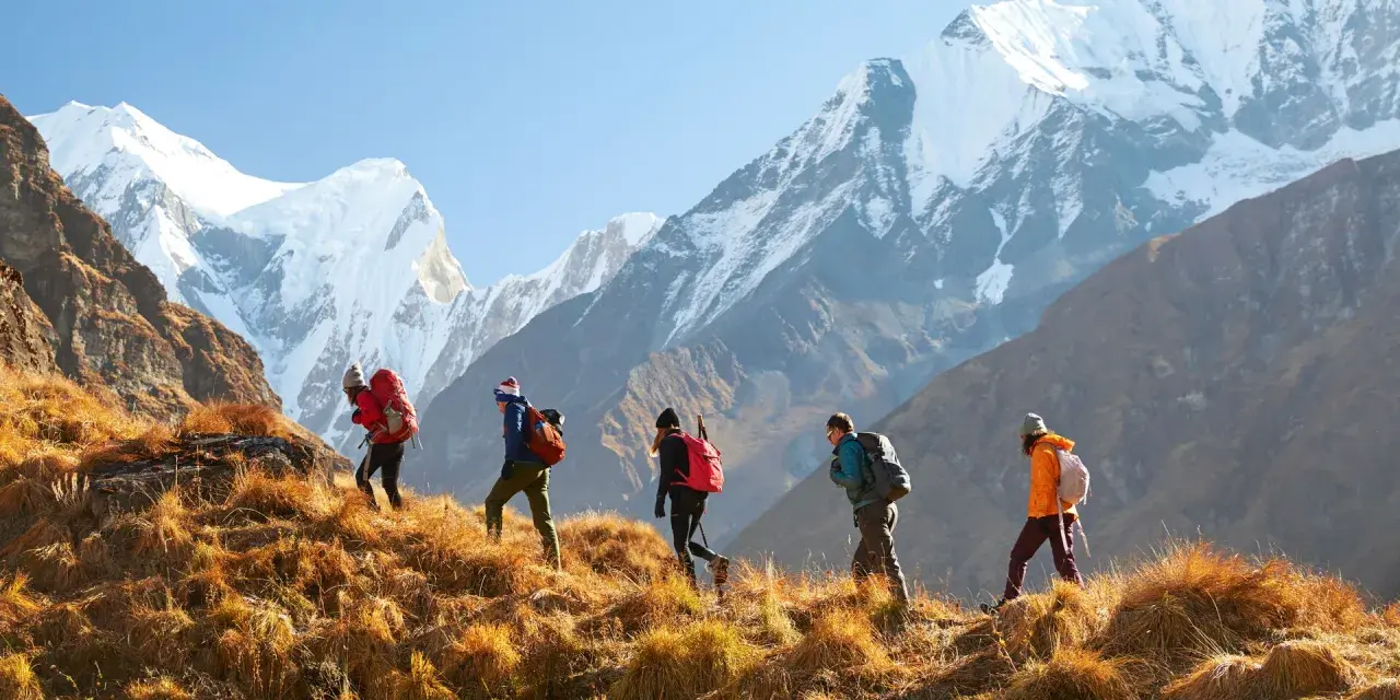 A group of five people trekking up a grassy slope towards majestic snow-capped mountains. This is a true adventure, a step beyond simple hiking.