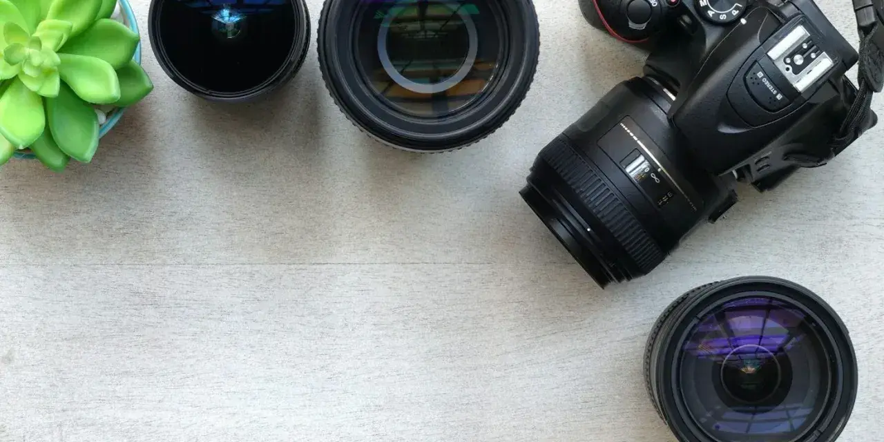 Aparat fotograficzny z obiektywami, w tym jeden zmiennoogniskowy to zoom, i zielona roślina na drewnianym tle.