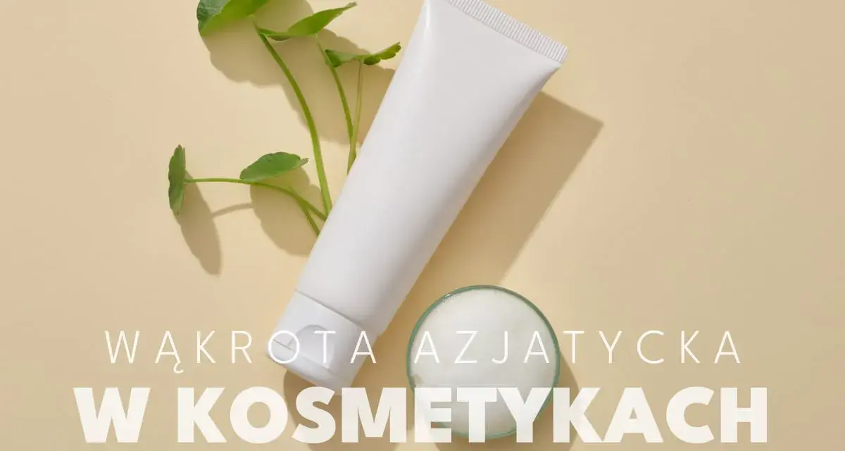 Biała tubka kosmetyku i gałązka z listkami. Wąkrota azjatycka w kosmetykach - naturalne składniki dla pięknej skóry.