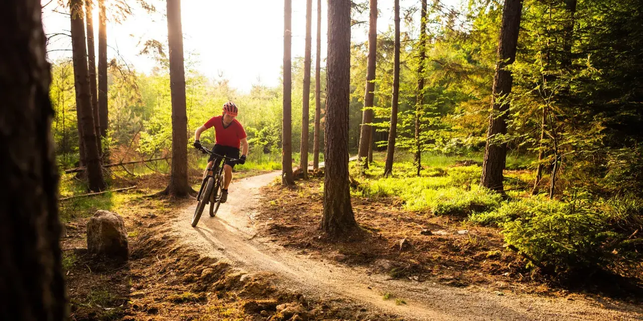 A person on a mountain bike navigates a sun-dappled forest trail, perfect for mountain biking for beginners.