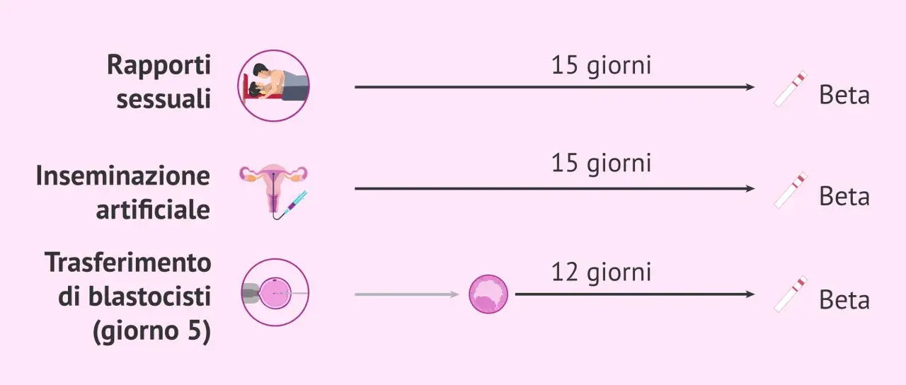 Quando fare il test di gravidanza: dopo 15 giorni da rapporti o inseminazione, 12 giorni dopo trasferimento blastocisti.