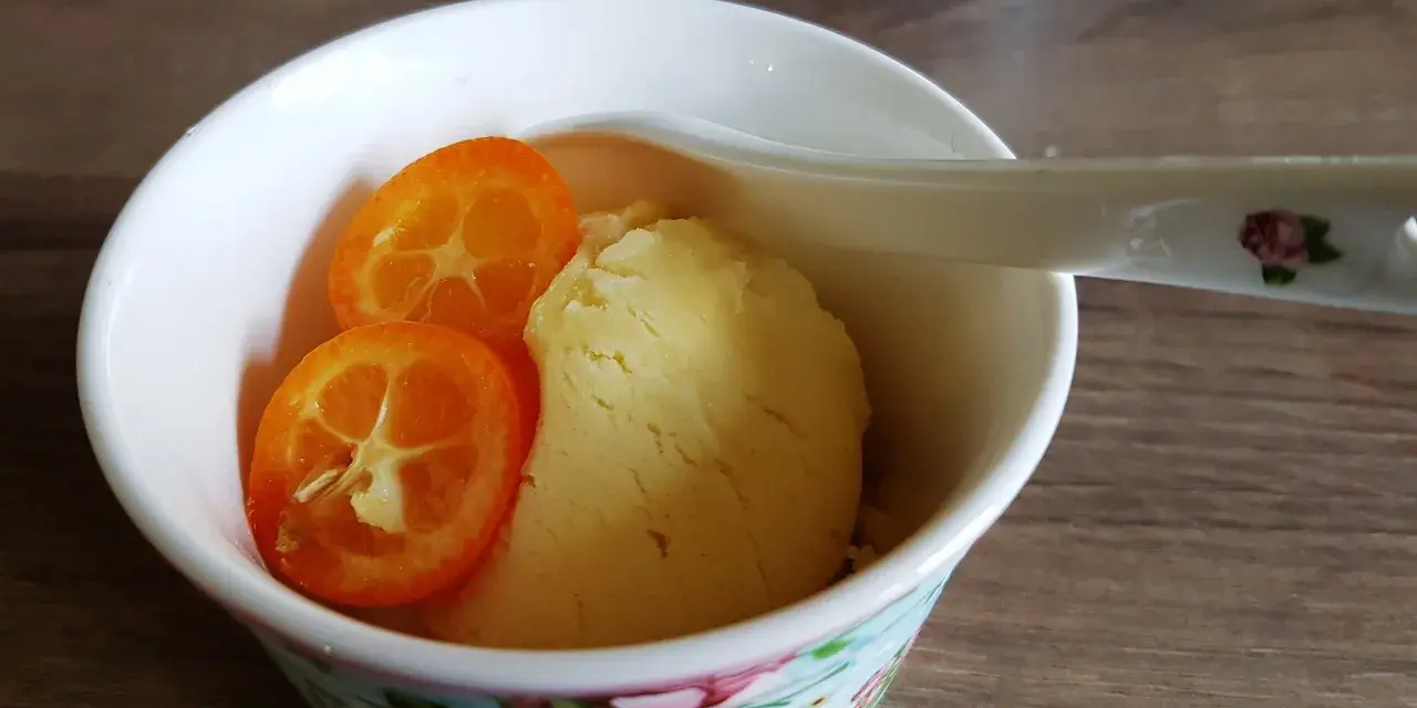 Erfrischendes Kalamansi-Sorbet in einer blumig dekorierten Schale, garniert mit zwei Scheiben der exotischen Frucht.