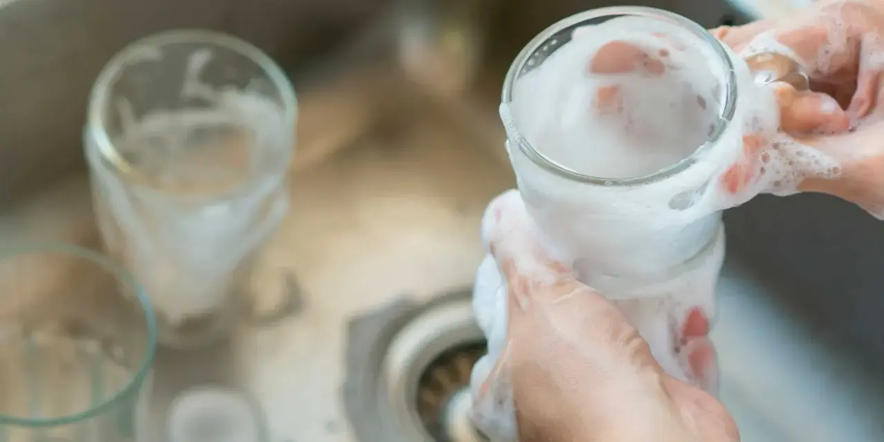 Händer tvättar glas med skum i diskho för att glaspest ta bort.