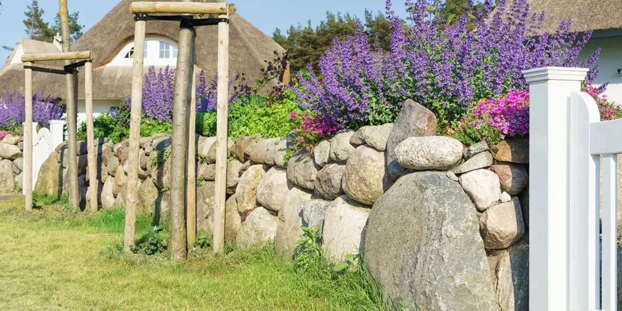 Natürliche Steingarten Ideen: Eine Steinmauer mit Lavendel und rosa Blüten, flankiert von jungen Bäumen und einem Reetdachhaus.