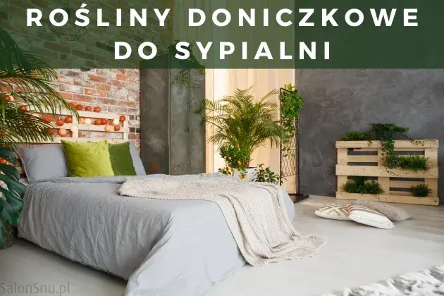 Czy skrzydłokwiat może stać w sypialni? Odkryj jego zalety i zagrożenia