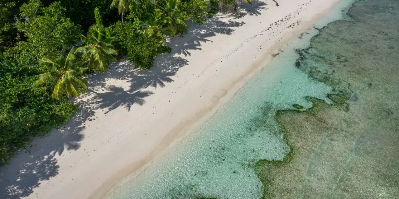 Rajska plaża z palmami i turkusową wodą. Czy Seszele są bezpieczne? Tak, to idealne miejsce na spokojny wypoczynek.