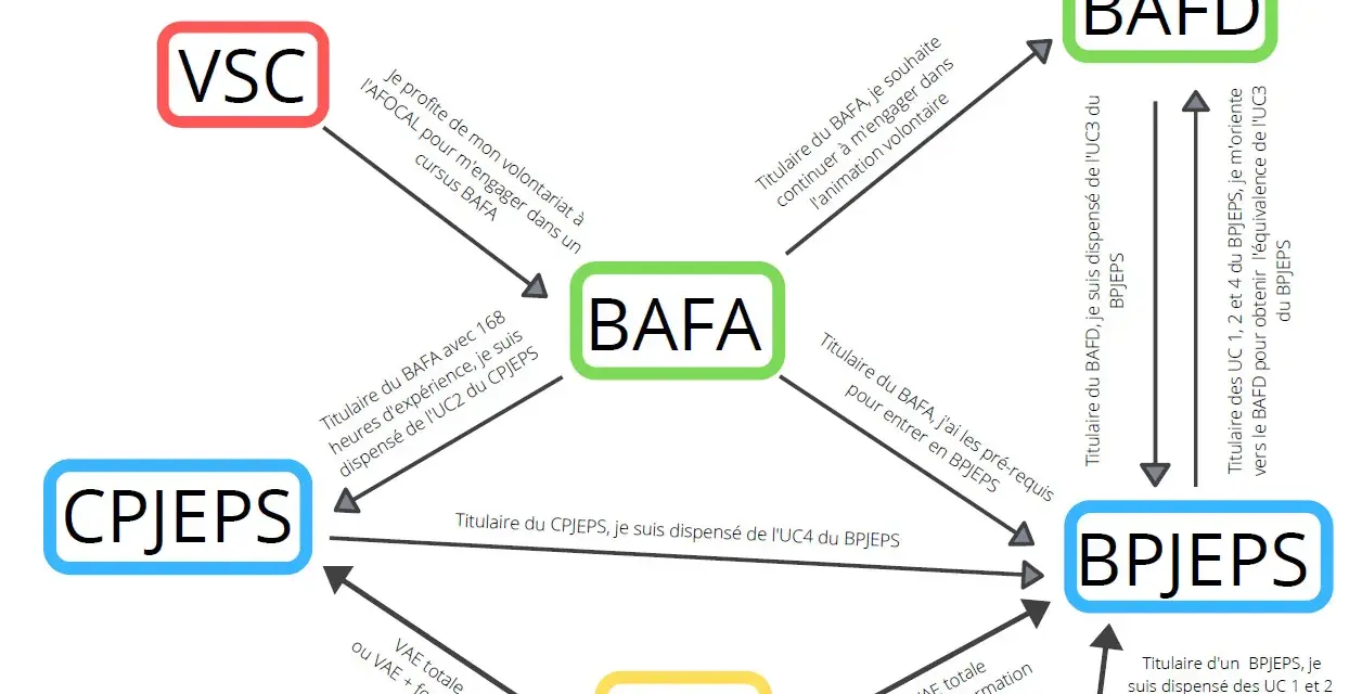 Schéma des parcours de formation : VSC, BAFA, BAFD, CPJEPS, BPJEPS, VAE.