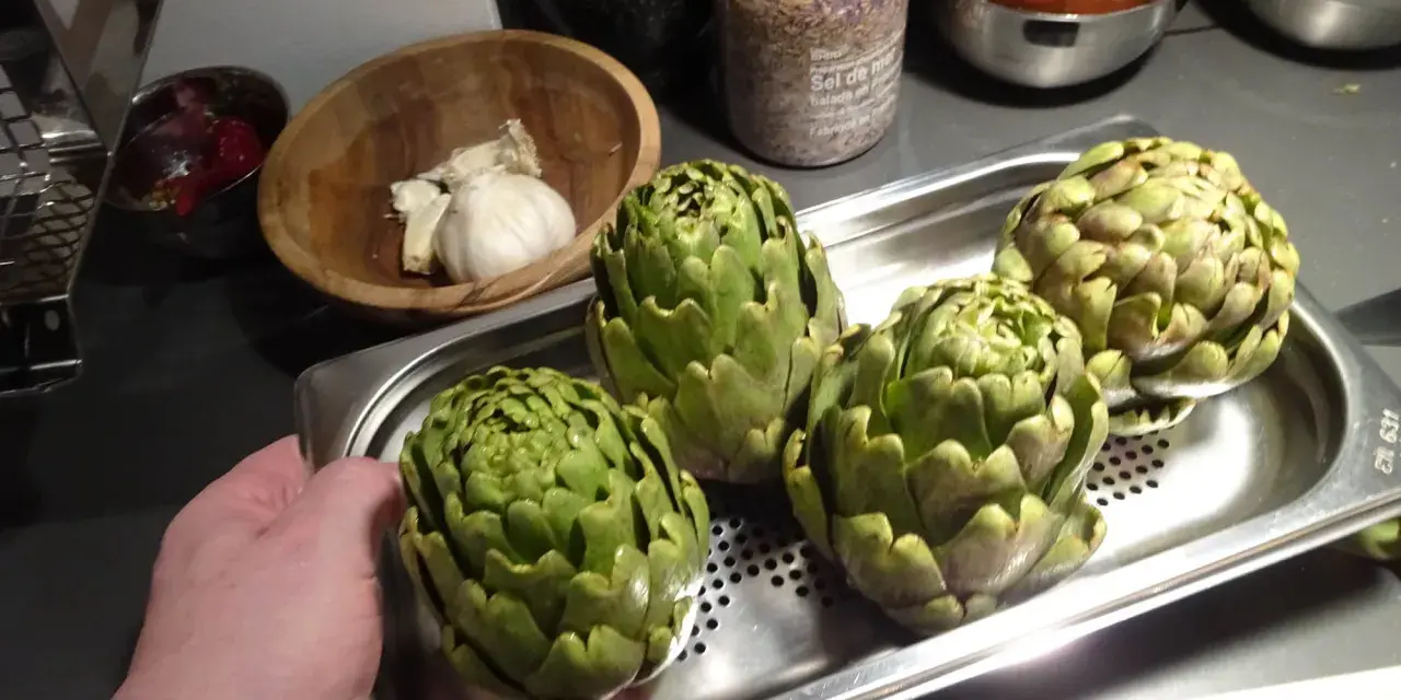 Quatre artichauts verts prêts pour la cuisson vapeur. Une main tient le plateau.
