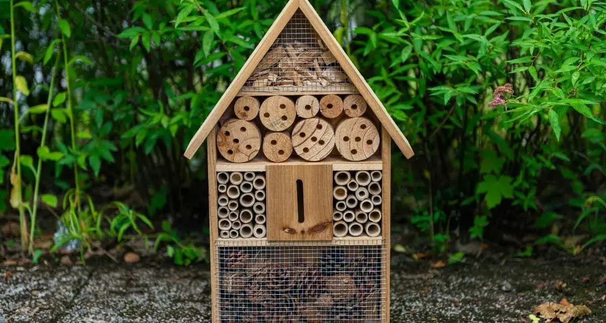 Casetta per insetti fai da te, un rifugio accogliente con legni forati, bambù e pigne, pronto ad ospitare piccoli amici del giardino.