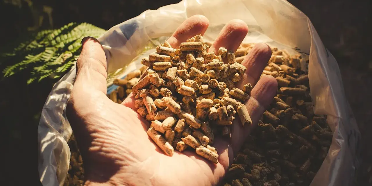 Mano che tiene un pugno di pellet, combustibile ecologico.