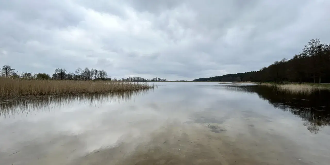 Spokojne jezioro Wójtowskie pod pochmurnym niebem. Woda odbija chmury i zarośla trzcin.