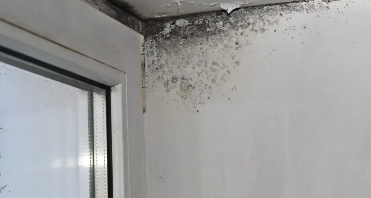 Angolo di una stanza con evidenti macchie da infiltrazione d'acqua e muffa sul muro e sul soffitto vicino a una finestra.