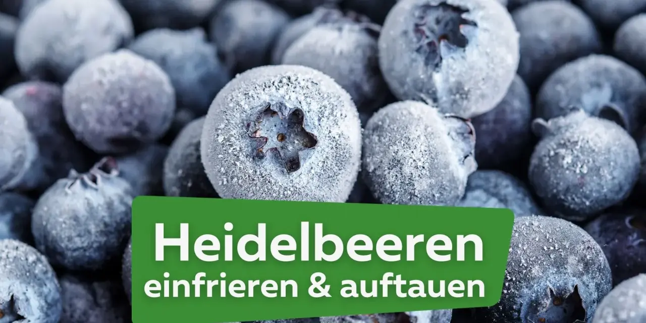 Nahaufnahme von gefrorenen Heidelbeeren, die zum Verarbeiten bereit sind. Der Text "Heidelbeeren einfrieren & auftauen" ist auf einem grünen Feld sichtbar.