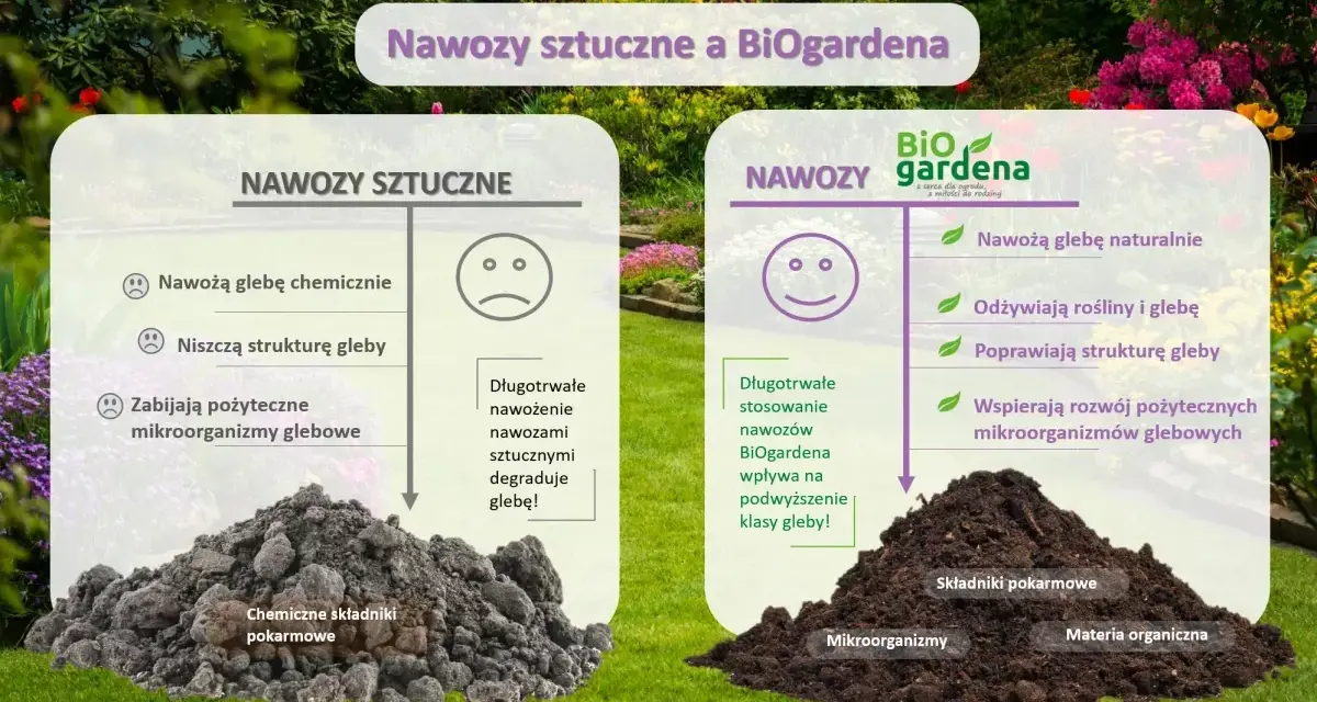 Jaki nawóz sztuczny pod warzywa? Sprawdź, jak uniknąć błędów w nawożeniu