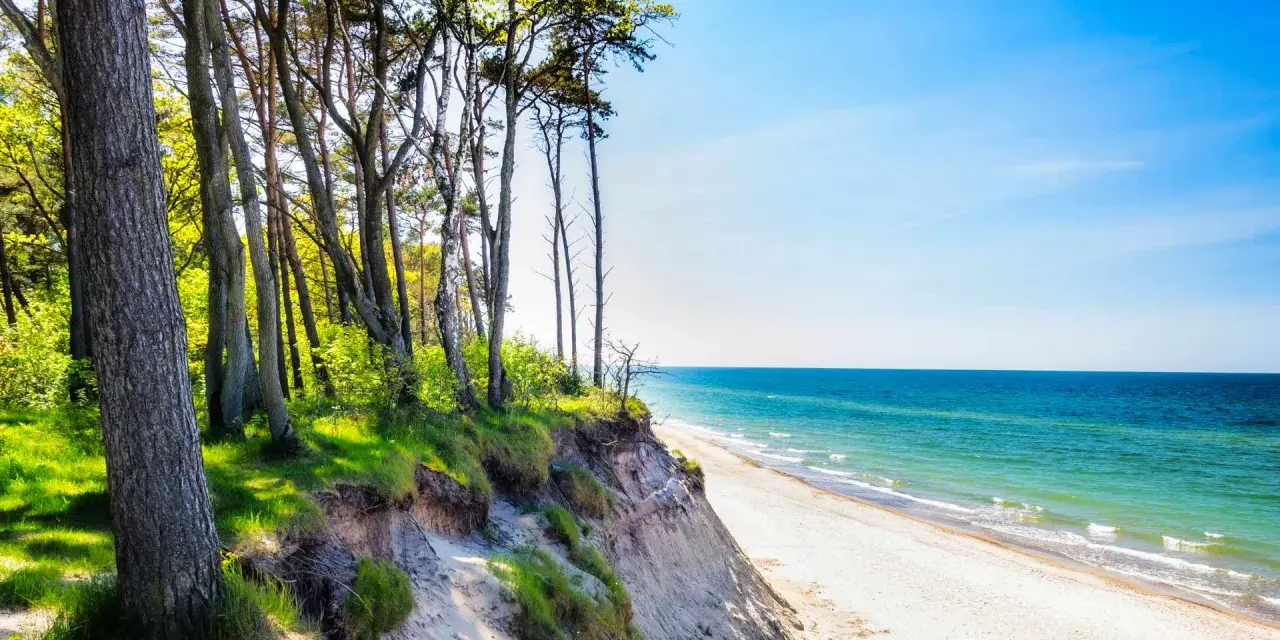 Piękny widok na klif i plażę w Niechorzu. Drzewa na skarpie, szum fal i błękitne niebo tworzą niezapomniane niechorze atrakcje.