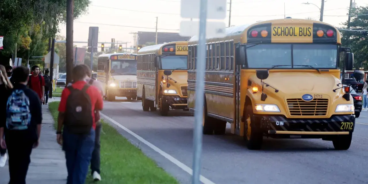 Schüler gehen zur Schule, während gelbe Schulbusse vorbeifahren. Denken Sie über die Kosten nach: wie viel kostet ein Auslandsjahr in Amerika?