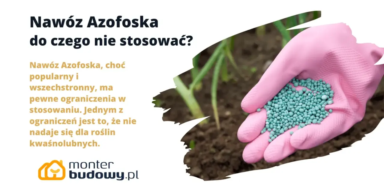 Różowa rękawica trzyma nawóz Azofoska. Dowiedz się, do czego nie stosować tego popularnego nawozu, zwłaszcza przy roślinach kwasolubnych.