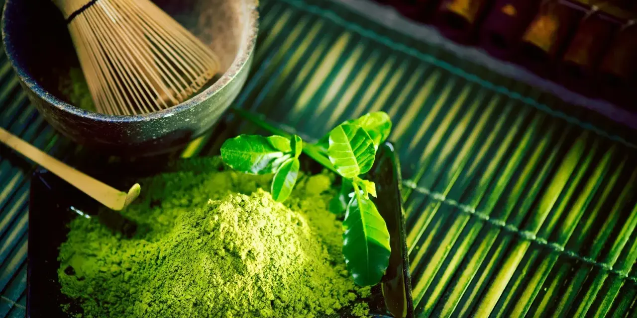 Matcha: Z czego jest zrobiona? Cała prawda o zielonym proszku
