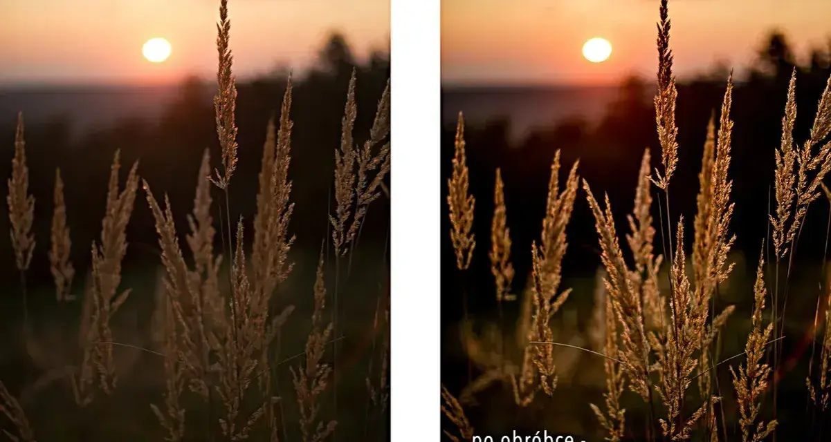 Złota godzina w fotografii. Trawa w słońcu, po obróbce nabrała ciepłych, złotych barw.