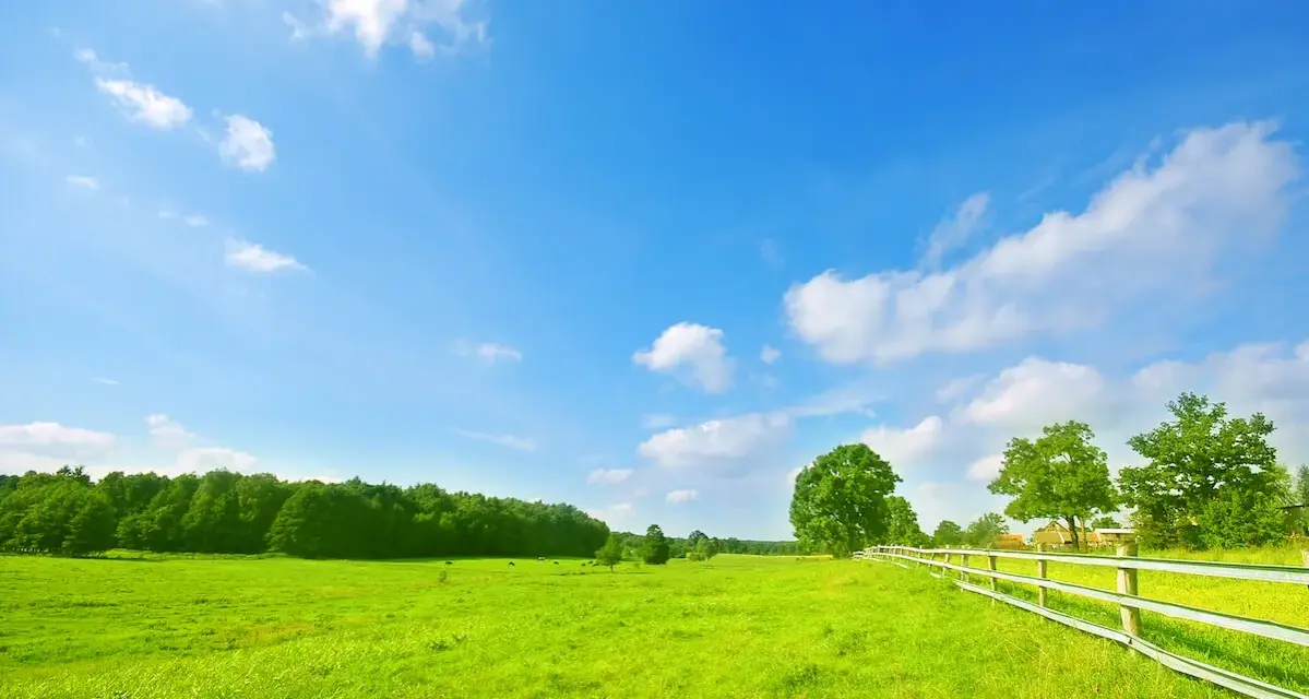 Zielona łąka, białe chmury na błękitnym niebie, płot i drzewa. To miejsce to przykład trwałe przekształcenie krajobrazu, gdzie natura harmonijnie współistnieje z człowiekiem.