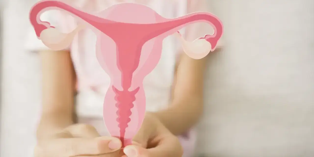 Dłoń trzyma model narządów rodnych kobiety. Czy cytologia boli? To badanie jest kluczowe dla zdrowia.