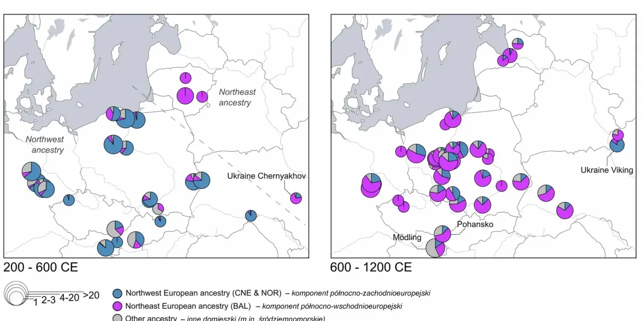Mapy pokazujące kontaminację genetyczną w Europie Środkowej i Wschodniej między 200-600 a 600-1200 r. n.e.