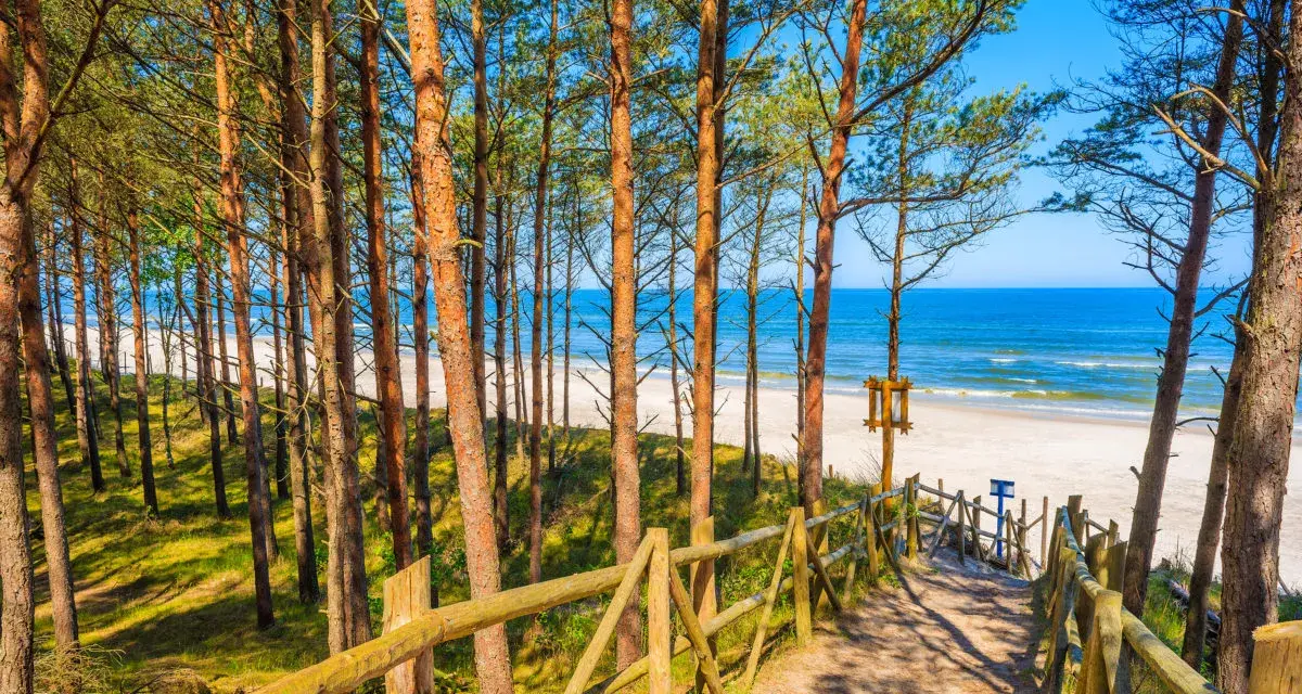 Ścieżka przez sosnowy las prowadzi do jednej z najpiękniejszych plaż w Polsce. Biały piasek, turkusowe morze i błękitne niebo tworzą rajski widok.