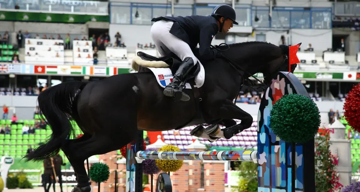 Un cheval noir CSO saute un obstacle coloré, monté par un cavalier en tenue d'équitation.