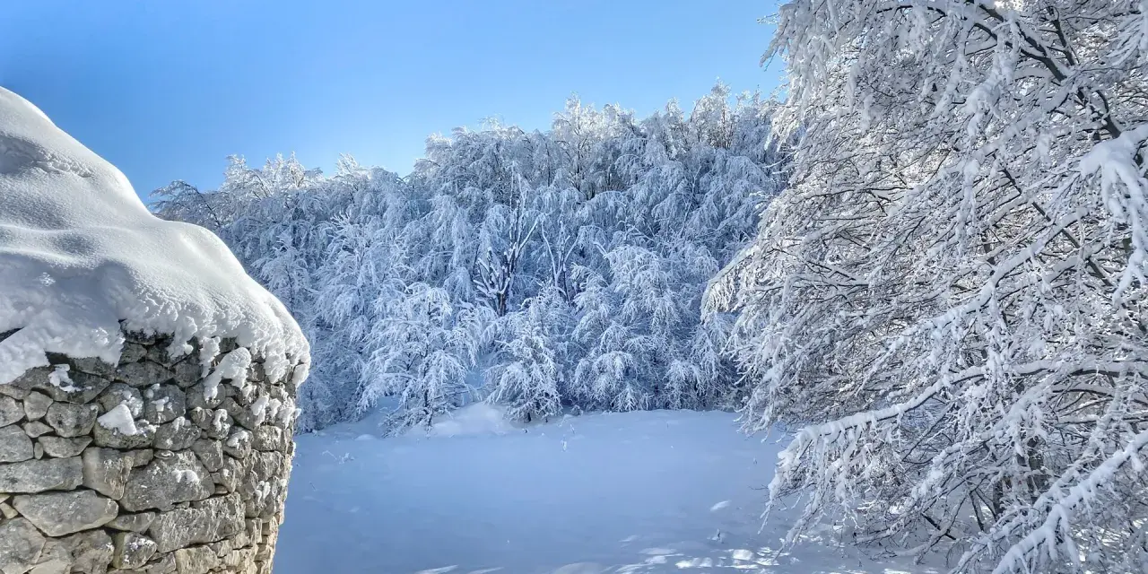 Muro di pietra innevato vicino a un bosco incantato, un vero passo lanciano di bellezza invernale sotto un cielo azzurro.