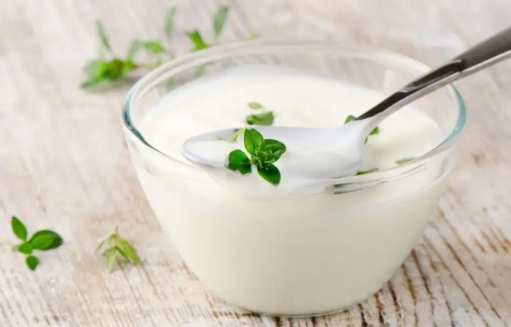 Czy jogurt grecki tuczy? Odkryj prawdę o jego kaloriach i diecie