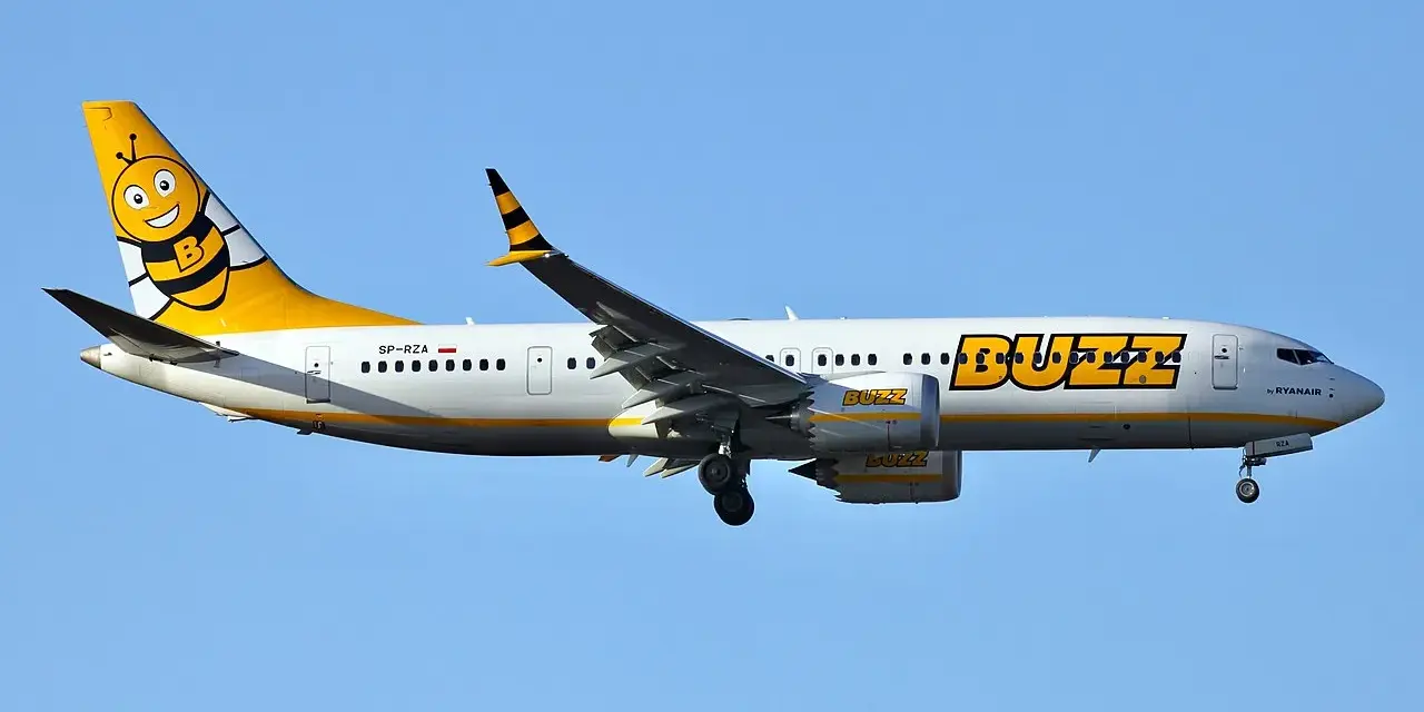 Samolot Buzz, należący do Ryanair, z wesołą pszczółką na ogonie, gotowy do lotu. Idealny na wakacje z bagażem!