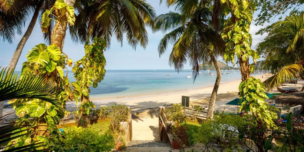 Tropikalny raj na Madagaskarze. Piękna plaża, palmy i turkusowe morze. Idealna pogoda na listopad.
