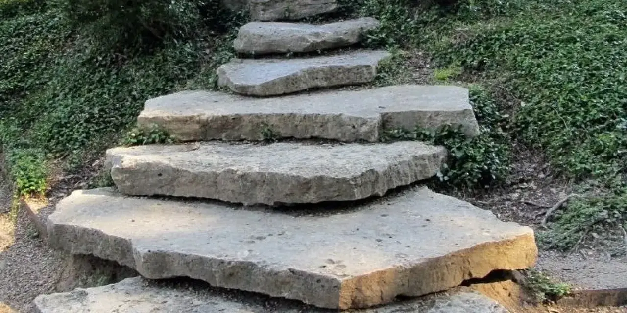 Kamienne stopnie prowadzą na taras przez zielony skalniak.