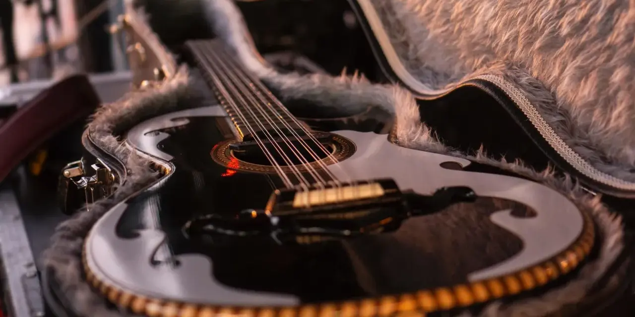 Schwarze Gitarre mit Fell ausgekleidetem Koffer.