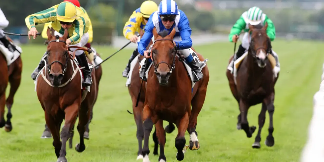 Des jockeys colorés en pleine course, un moment intense de la filière turf.