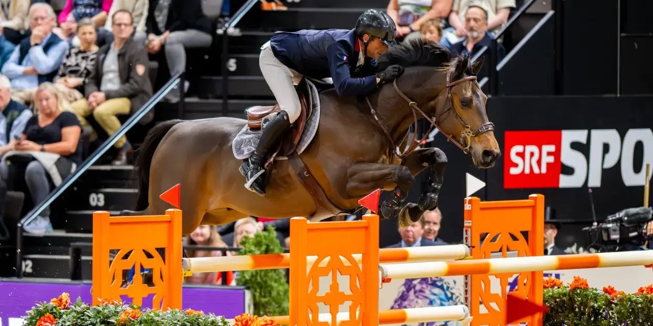 Un cavalier et son cheval, un donatello d'auge, franchissent un obstacle. Le public est en arrière-plan.