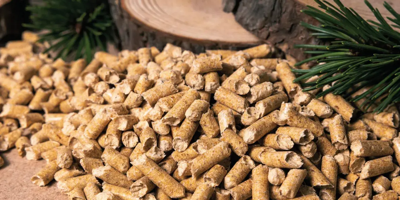 Gros tas de granulés de bois, parfaits pour la consommation pellet maison 80m2. Des branches de pin et des rondins de bois en arrière-plan.