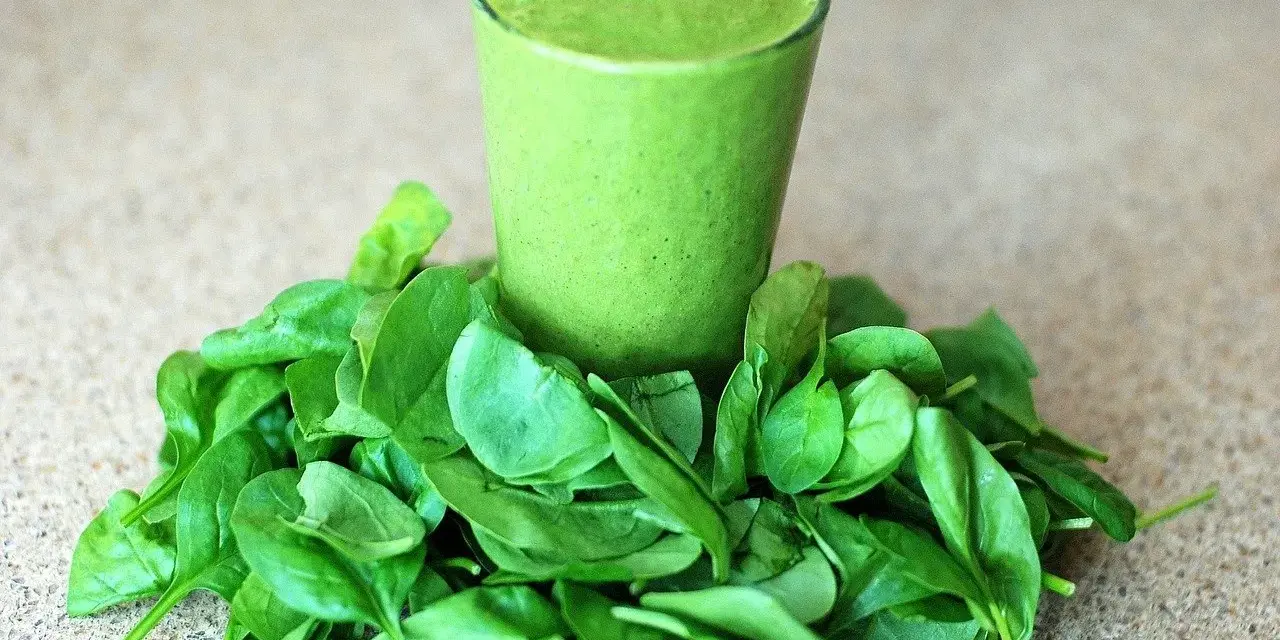 Un verre de smoothie vert entouré d'épinards frais, parfait pour un régime sans lectine.
