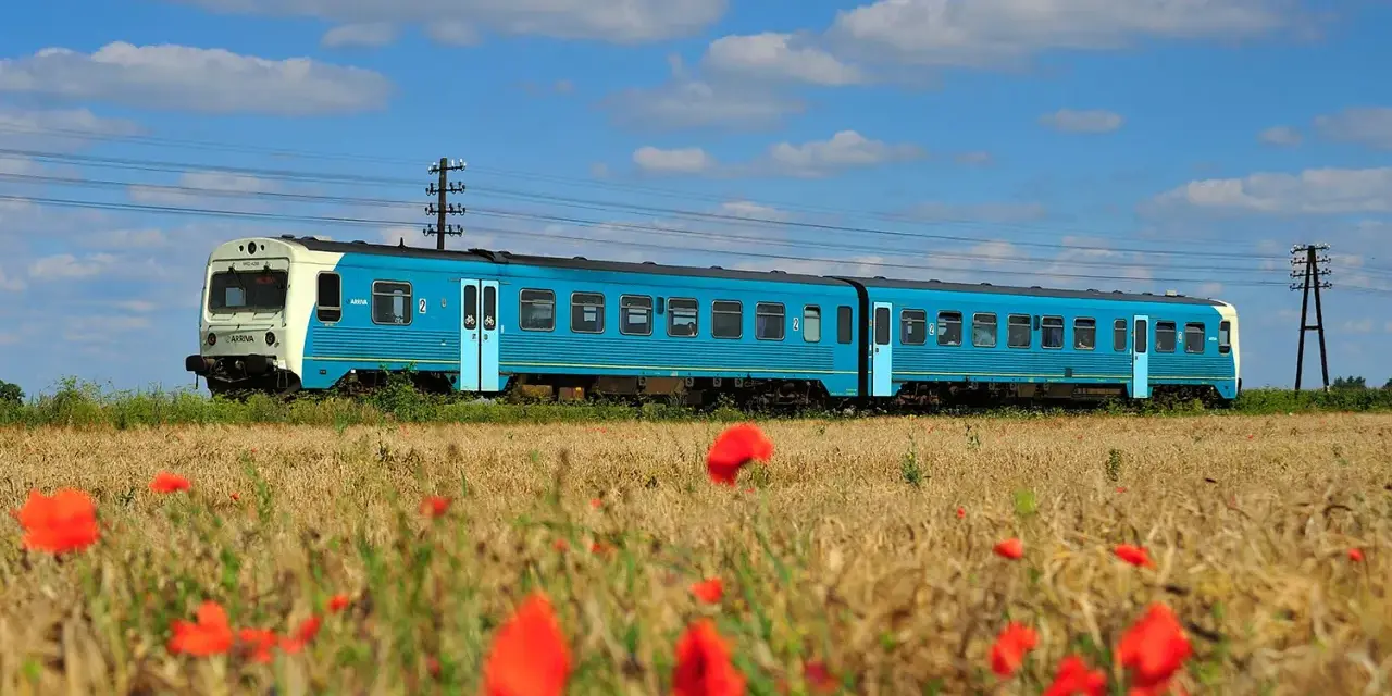 Błękitny pociąg Arriva jedzie przez pole dojrzałego zboża, a na pierwszym planie kwitną czerwone maki.