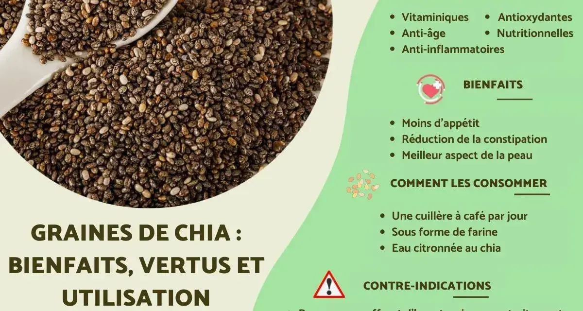 Graines de chia : leurs nombreux bienfaits pour la santé, comme la réduction de l'appétit et l'amélioration de la peau.