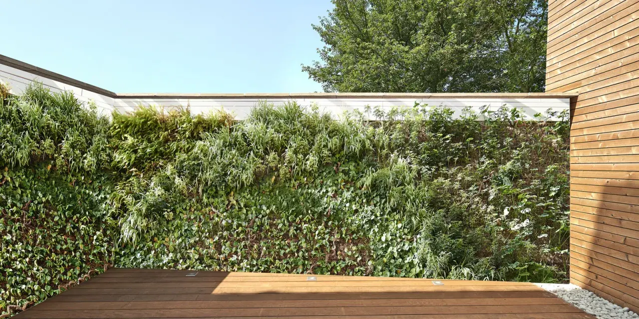 Un mur végétal luxuriant cache un vilain mur extérieur, créant un espace extérieur verdoyant et moderne avec une terrasse en bois.