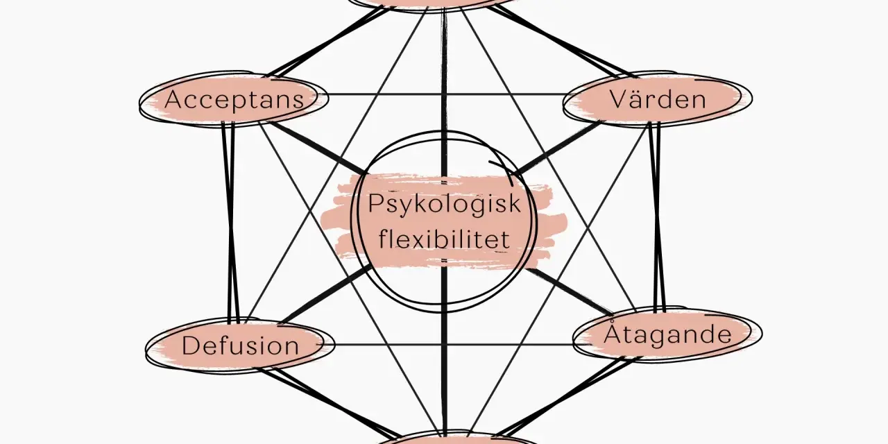 Diagram som visar psykologisk flexibilitet med komponenter som närvaro, acceptans, värden, åtagande, jag som kontext och defusion. Dessa visar vad ACT betyder i praktiken.