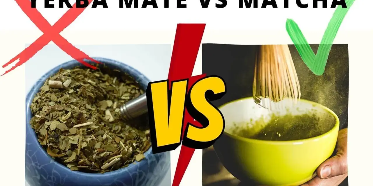 Matcha czy Yerba? Odkryj, co lepsze dla Twojego zdrowia i energii
