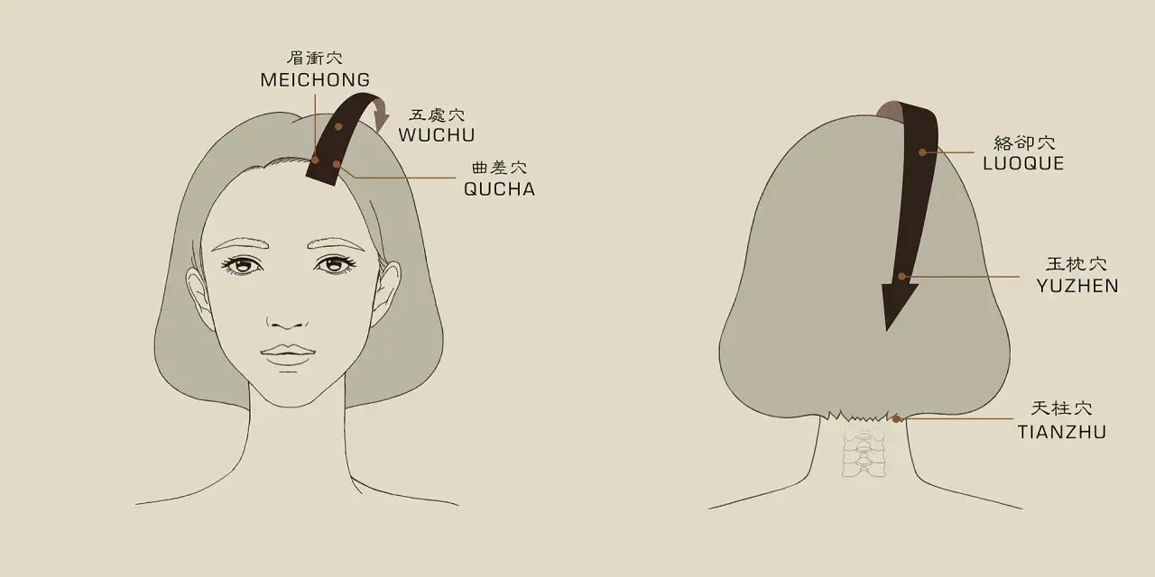 A diagram showing points on the head and neck for acupressure. Learn how to massage your head for relaxation.