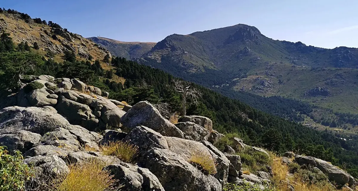 Rocas y vegetación en la ladera de la barranca, con un bosque de pinos y montañas al fondo bajo un cielo azul.