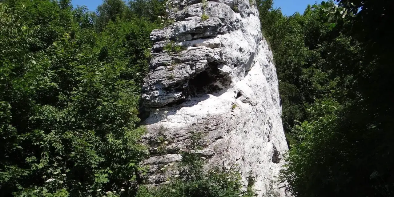 Wysoka, biała skała w otoczeniu zieleni, przypominająca fragmenty skalnego miasta w Polsce.